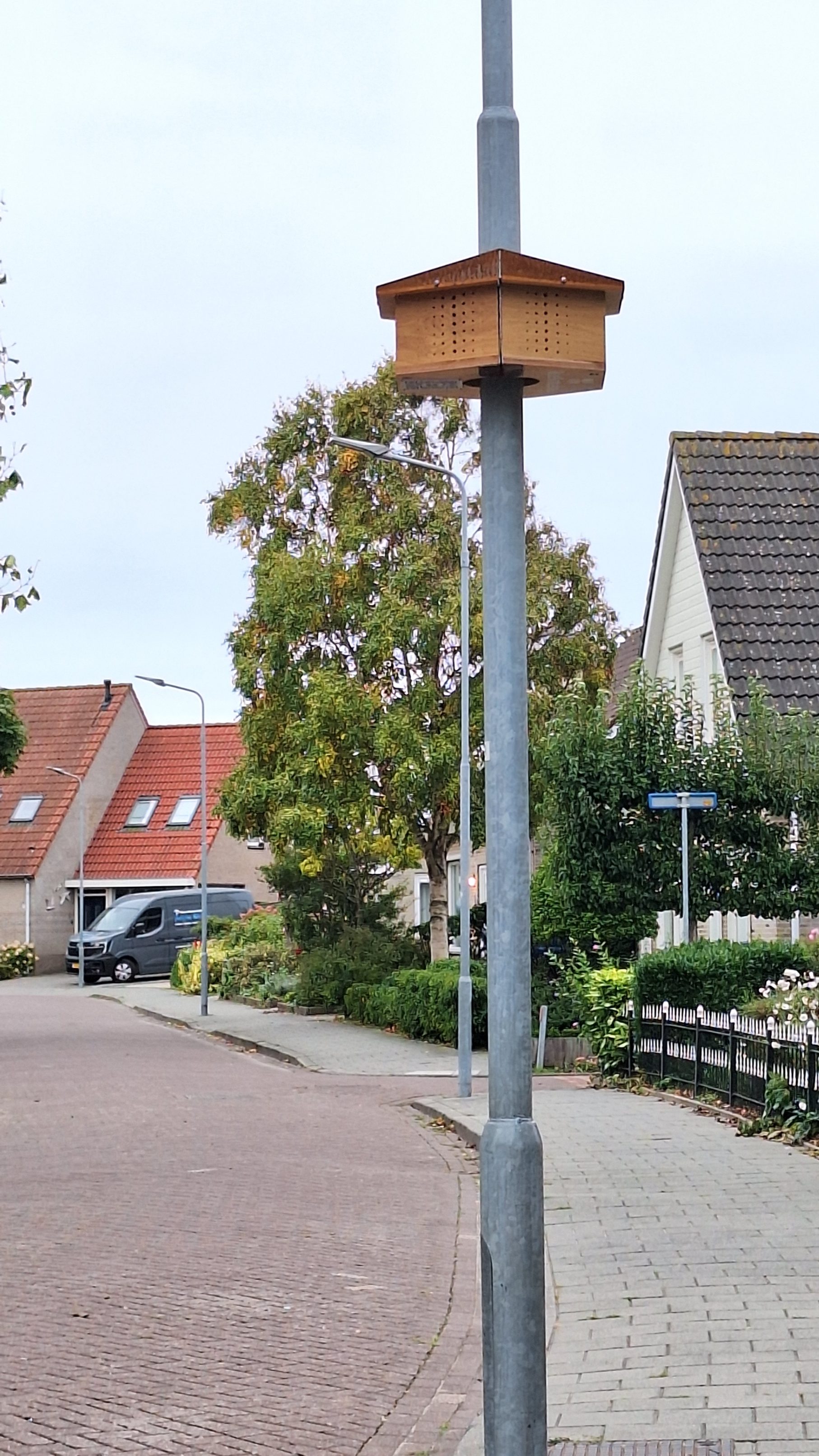 Bijenkast 2